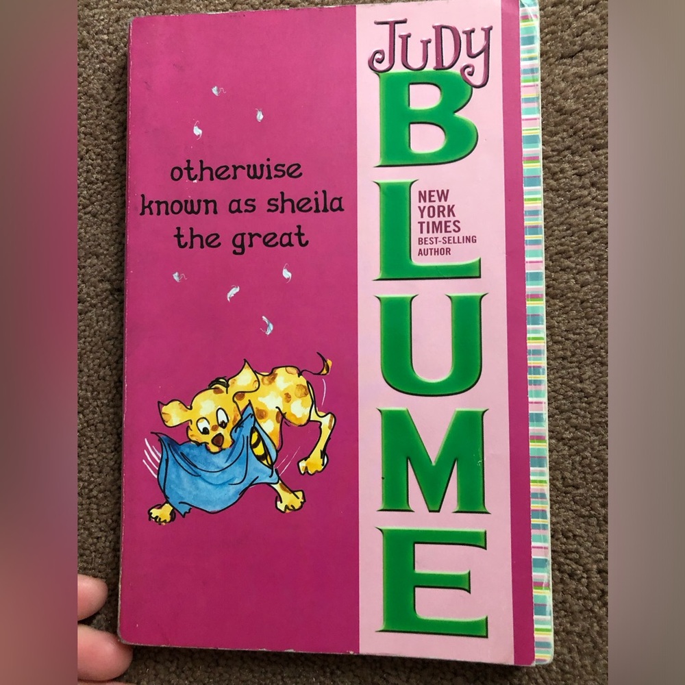 Judy Blue otherwise known as Sheila paperback book